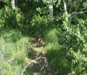 Montana2008 383